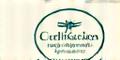 Certificación Internacional de Wellness